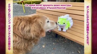 Момент #ТусимСпонто