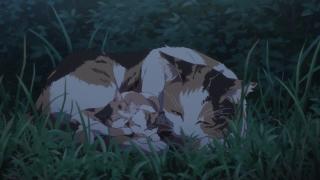 Котейки