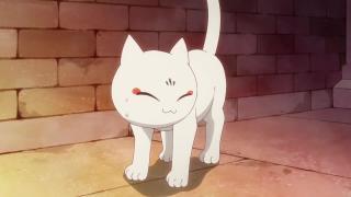 Качественная озвучка кота [Wakanim (StudioBand)]