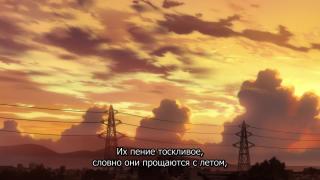Когда плачут Цикады