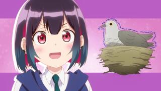А ну ка прояви уважение к кукушкам 🐦