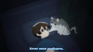 котик будит лапой в лицо