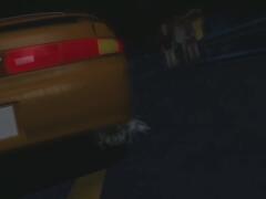 Ayrton Senna's technique