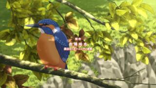 Обыкновенный зимородок сидит на веточке