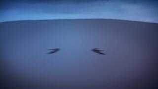 Заказал себе меч с Али