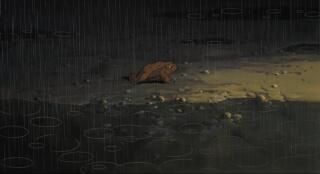 Японская жаба идет