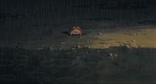 Японская жаба сидит под дождем