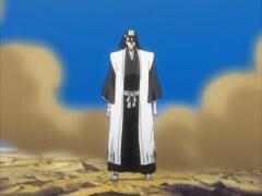 Первое высвобождение банкая(3)