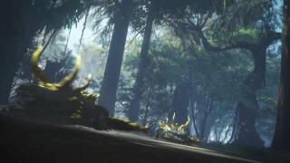 лоли против крокодилов