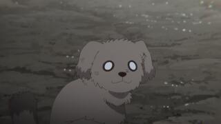 Жаль этого добряка