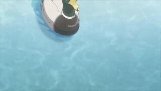 Селезень кряквы плавает в фонтане