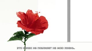 Консилиум в туалете