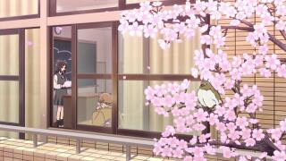 Бамбуковая камышевка улетает с ветки сакуры