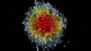 🎶「Abyss」YUNGBLUD