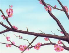 Бамбуковая камышевка садится на ветку сливы