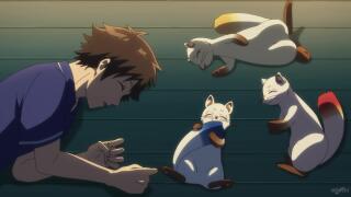 Наелись и спят 