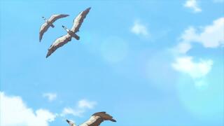 Черные кряквы взлетают и улетают