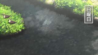 Черные кряквы сидят на траве и плавают воскресным утром