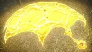 Ателье колдовских колпаков