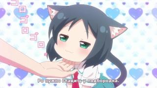 Как гладить котиков :3