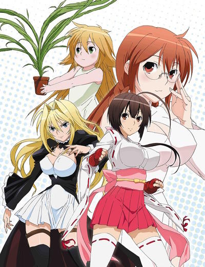 Sekirei: Hajimete no Otsukai постер