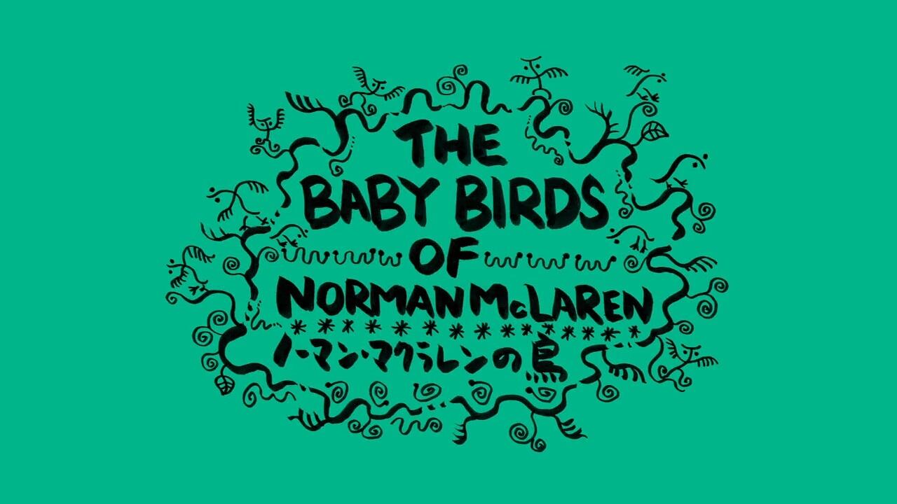The Baby Birds of Norman McLaren постер