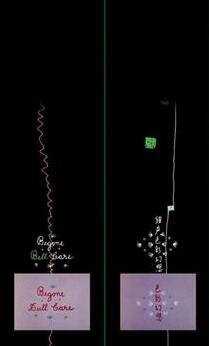 Shousei Shikisai Gensou постер