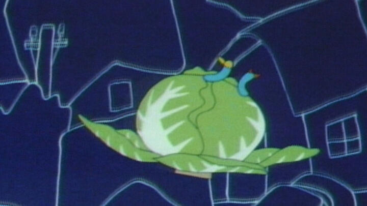 Cabbage UFO постер