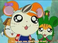 Tottoko Hamtaro Hai! постер