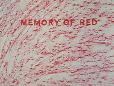 Memory of Red постер