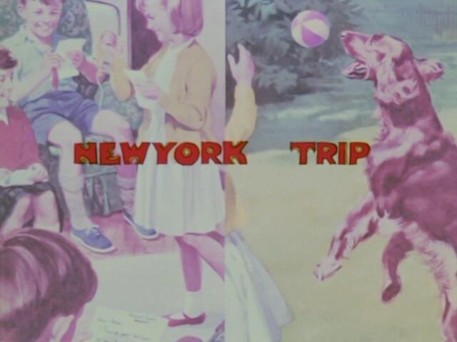 New York Trip постер