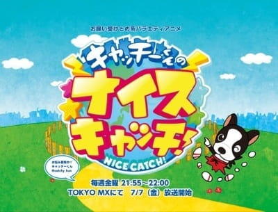 Catchy-kun no Nice Catch! постер