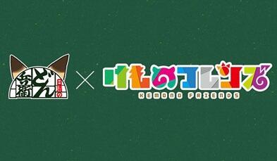 Nissin no Donbei x Kemono Friends: Fukkura постер