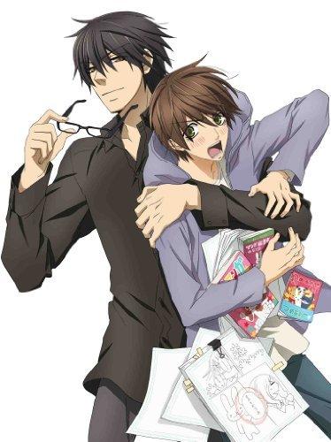 Sekaiichi Hatsukoi 2 постер