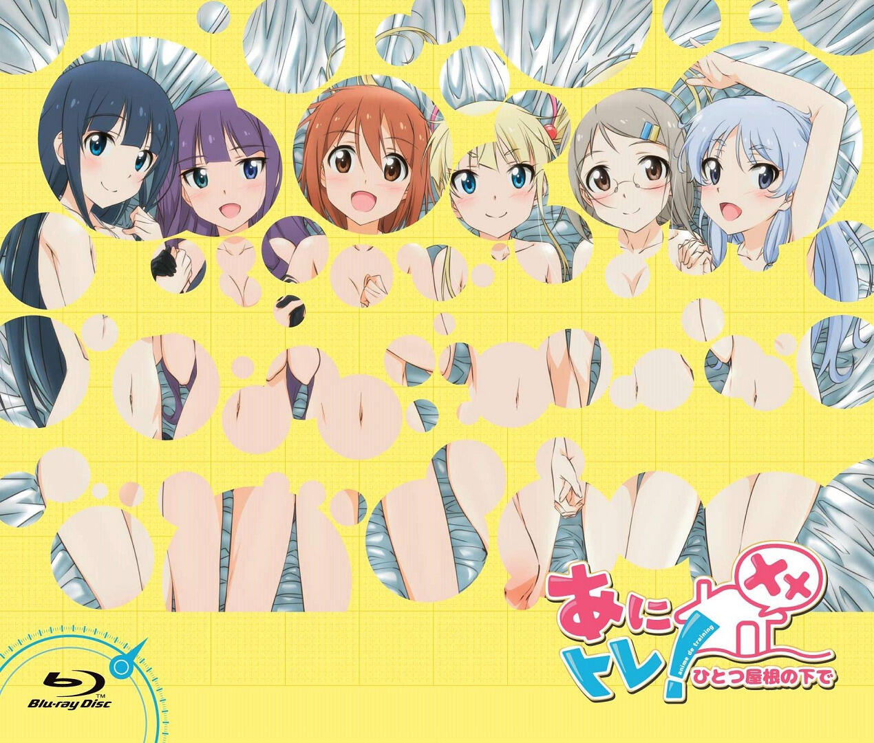 Anitore! XX: Jigoku no Training постер