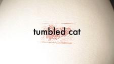 Tumbled Cat постер