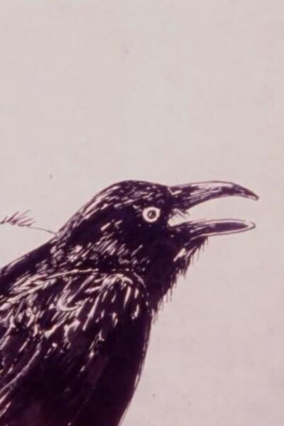 Karasu постер