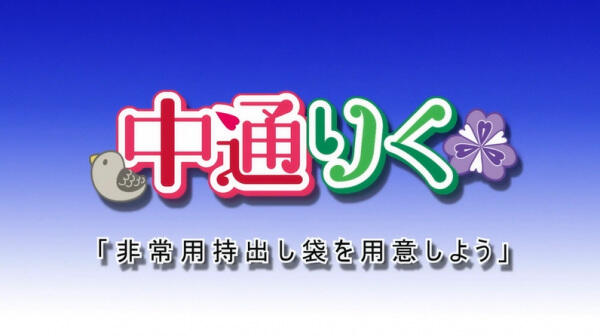 Nakado Riku Animation: Hijouyou Mochidashi Bukuro wo Youi Shiyou постер