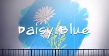 Daisy Blue постер