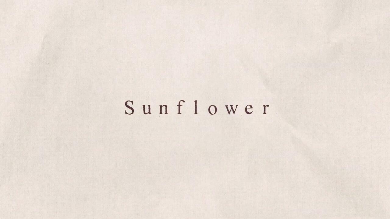 Sunflower постер