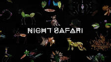 Night Safari постер