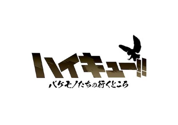Haikyuu!! Bakemono-tachi no Iku Tokoro постер