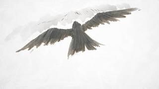Karasu (PV) постер