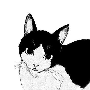JOSUKE HIGASHIKATA