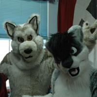 Nyan_Fox