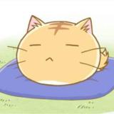 SleepyCat