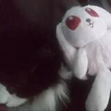 обыкновенная нежить