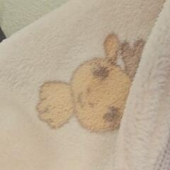 トーリー ・メイ