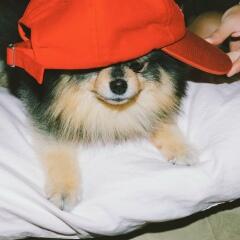 Анастасия Чепурнова