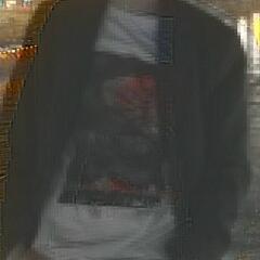 Александр Волканов